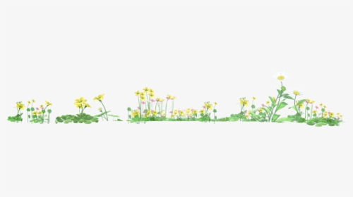3 - Camomile, HD Png Download, Transparent PNG