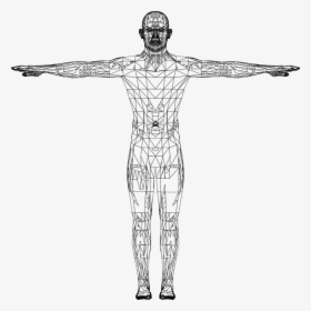 Man, Wireframe, Low Poly, Polygons, Triangles, Male - Human Figure Human Body Icon, HD Png Download, Transparent PNG