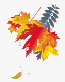 Dibujo De Hojas De Otoño , Png Download - Poster Autumn Leaves, Transparent Png, Transparent PNG