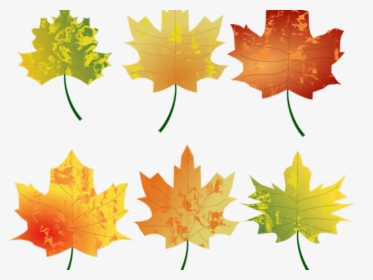 Fall Leaves Graphic - Fall Leaf Png Vector, Transparent Png, Transparent PNG