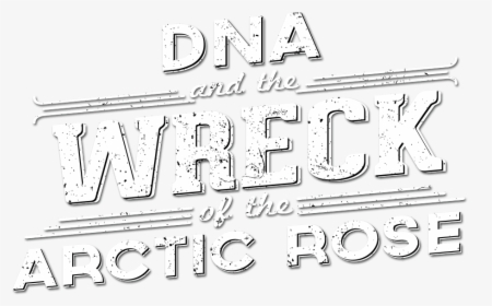Arctic Rose Headline - Poster, HD Png Download, Transparent PNG