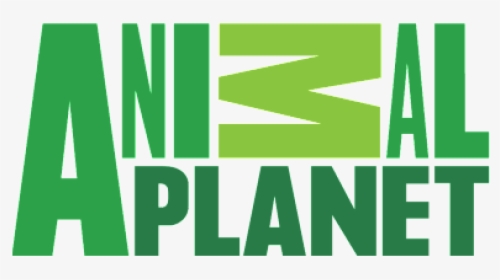 Animal Planet Network Logo, HD Png Download, Transparent PNG