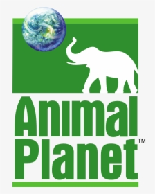 #logopedia10 - Discovery Animal Planet Logo, HD Png Download, Transparent PNG