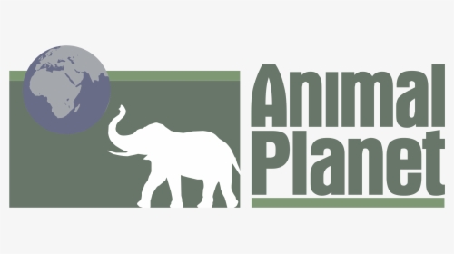Animal Planet Logo Png Transparent - Animal Planet Logo Png Large, Png Download, Transparent PNG
