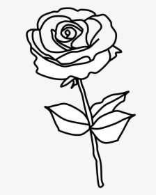 Rose, Thorns, Black And White - Floribunda, HD Png Download, Transparent PNG