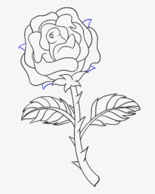 How To Draw Rose With A Stem - Draw A Rose Stem, HD Png Download, Transparent PNG