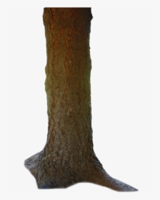 Tronco Png 4 » Png Image - Tree Body Png, Transparent Png, Transparent PNG