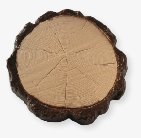 Troncobicolor - Tree Stump, HD Png Download, Transparent PNG