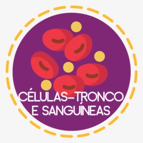 Células-tronco E Sanguíneas - Sm Center Angono, HD Png Download, Transparent PNG