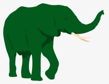African Elephant White Background, HD Png Download, Transparent PNG