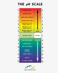 Png Ph Scale No Background , Transparent Cartoons - Ph Scale No Background, Png Download, Transparent PNG