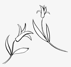 Garen Png , Png Download - Sketch, Transparent Png, Transparent PNG