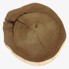 Wood Slice Png Clipart Freeuse Stock - Lumber, Transparent Png, Transparent PNG