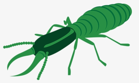 Termite Control - Insect, HD Png Download, Transparent PNG