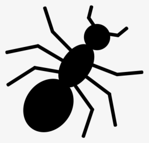 Tangle-web Spider, HD Png Download, Transparent PNG