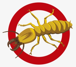 Termites Pest Control Logo , Transparent Cartoons - Pest Control Termute Logo, HD Png Download, Transparent PNG