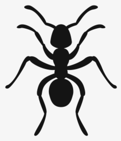 Icon3 - Ant, HD Png Download, Transparent PNG