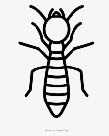 Termite Coloring Page - Beetle, HD Png Download, Transparent PNG