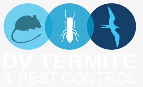 Diamond Valley Termite And Pest Control - Illustration, HD Png Download, Transparent PNG