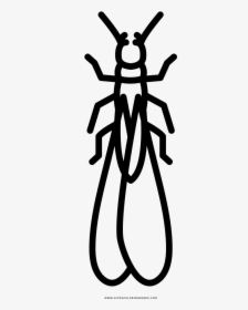 Termite Coloring Page - Ant, HD Png Download, Transparent PNG