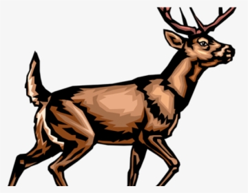 Deer Clip Art, HD Png Download, Transparent PNG