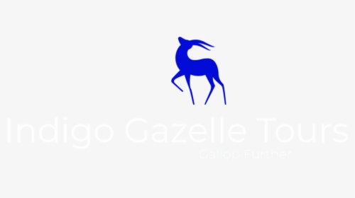 Gazelle Png, Transparent Png, Transparent PNG