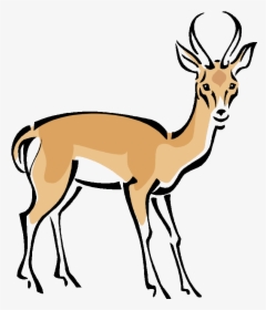 Gazelle Clipart Wild Deer - Deer Gazelle Clipart, HD Png Download, Transparent PNG