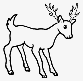 Collection Of Free Drawing Deers Gazelle Download On - Simple Drawing Of Wild Animals, HD Png Download, Transparent PNG