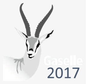 Gazelle - Gaselle 2014, HD Png Download, Transparent PNG