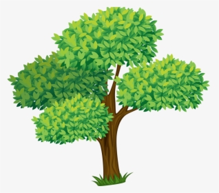 Transparent Planting Clipart - Trees Cartoon, HD Png Download, Transparent PNG