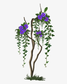 Image Cropped, Tree With Flowers, Tree, Flowers Lilac - Rosa Glauca, HD Png Download, Transparent PNG