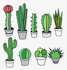 Cactus Free Clip Art On Transparent Png - Cactus And Succulents Clipart, Png Download, Transparent PNG