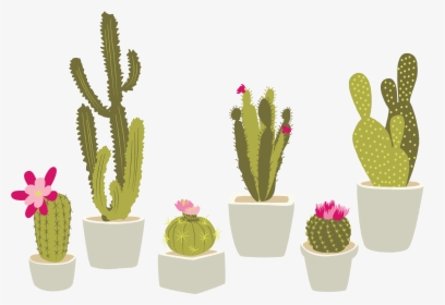 Cactaceae Houseplant Plant Cactus - Transparent Background Cactus Clipart Png, Png Download, Transparent PNG