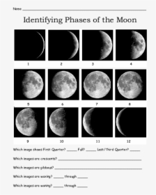 Identifying The Phases Of The Moon Ii, HD Png Download, Transparent PNG