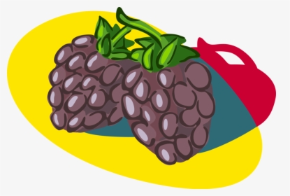 Vector Illustration Of Bramble Fruit Blackberry Edible - Illustration, HD Png Download, Transparent PNG