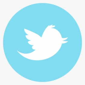 Twitter Logo For Youtube , Png Download - Social Media Icons Twitter, Transparent Png, Transparent PNG