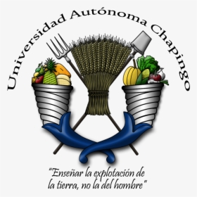 Thumb Image - Logo Universidad Autonoma Chapingo Png, Transparent Png, Transparent PNG