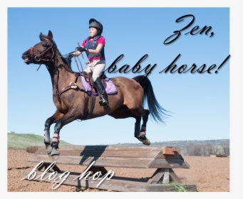 Blog Hop - Jump A Horse, HD Png Download, Transparent PNG