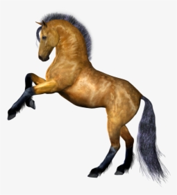 Horse Png Image, Free Download Picture, Transparent - Clear Background Horse Png, Png Download, Transparent PNG