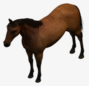 Horse 3ds Max Model - Revit Horse, HD Png Download, Transparent PNG