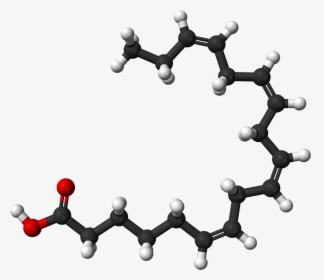 File - Stearidonic Ac - Linoleic Acid 3d Structure, HD Png Download, Transparent PNG