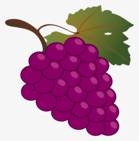 Hd Kyoho Wine Grapes - Grapes Clipart, HD Png Download, Transparent PNG