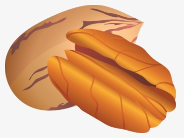 Nut Clip Art - Pecan Clipart, HD Png Download, Transparent PNG