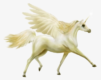 Unicorn, HD Png Download, Transparent PNG