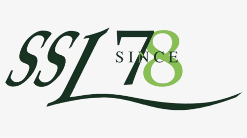 Ssl Png, Transparent Png, Transparent PNG