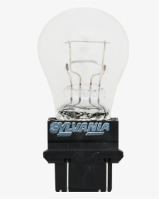 Incandescent Light Bulb, HD Png Download, Transparent PNG