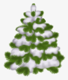 Snowy Christmas Tree Transparent Background, HD Png Download, Transparent PNG
