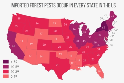 Imported Forest Pests Cc By Leslie Tumblety/cary Institute - Hotspots In The Usa, HD Png Download, Transparent PNG