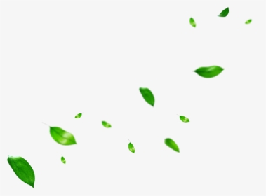 Leaf Clip Art Portable Network Graphics Plant Stem - Green Leaves Overlay Png, Transparent Png, Transparent PNG