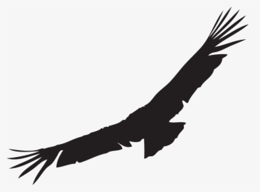 We Love The California Condor - Condor Png, Transparent Png, Transparent PNG